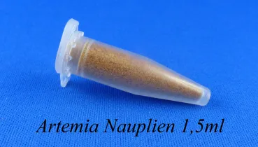 Artemia Nauplien 1,5ml zur besseren Fütterung